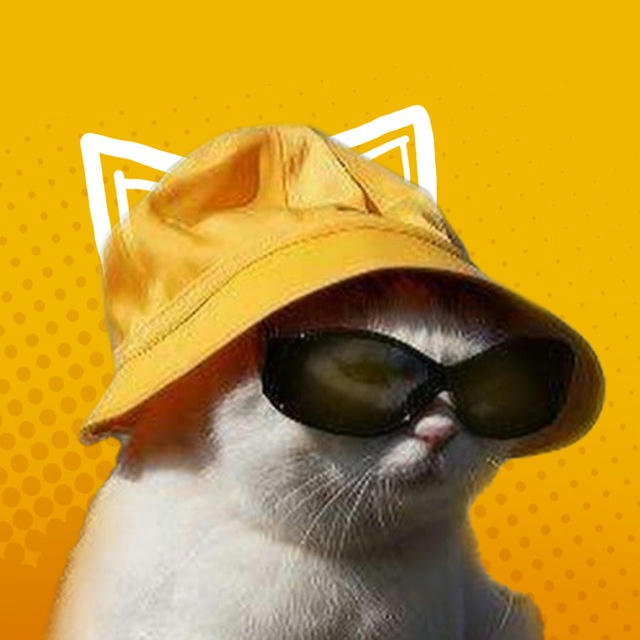 Cat Le Perdun