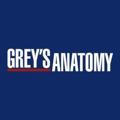 Greys Anatomy Fans