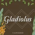 Gladiolus, OPEN!