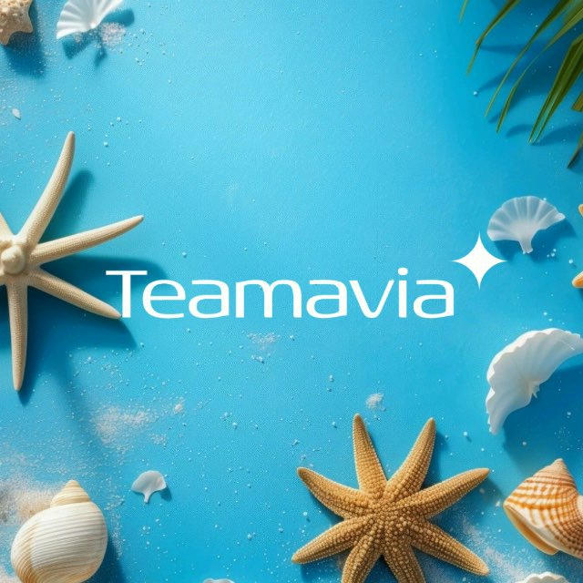 Team Avia Tour