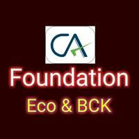 P4 Economics : CA Foundation