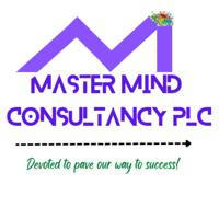 Master Mind Consultancy PLC (A consultancy firm that provides management consultancy, research and short term training services)