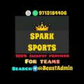 SPARK SPORTS ™