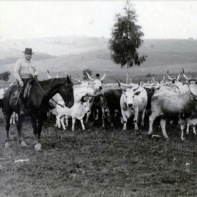 fattoria di Gino