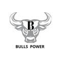 Bulls Power®️