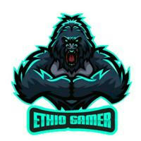 ETHIO GAMER