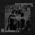 BESUNDBOYS