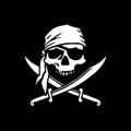 Crypto Pirat