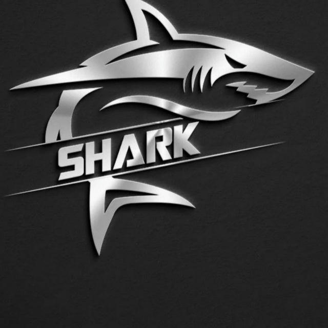 Shark_fx