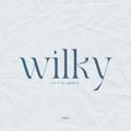 wilkyco ꔫ:*+ﾟ