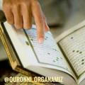 Qur'onni o'rganamiz
