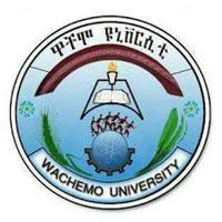 Wachemo University students' union