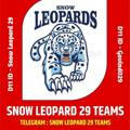Snow Leopard 29 Teams