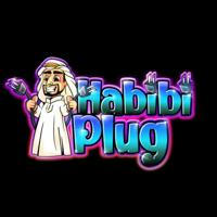 HABIBI PLUG