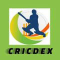 CRICDEX