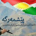 Hêzî Kurd