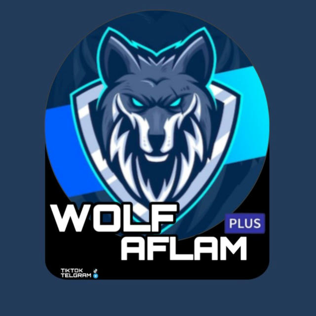 WOLF AFLAM 2024 / fall