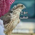 - بَووحٍ صقٌر