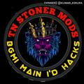 ᵀᴺ᭄ STONER MODS