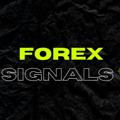 🇲🇦Forex Signals💰 💼