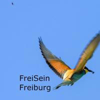 FreiSeinFreiburg Infokanal