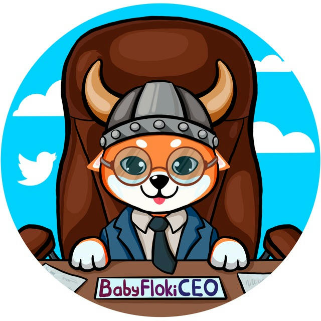 Baby Floki CEO Announcement