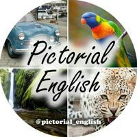 💥Pictorial English💥