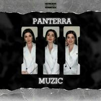 Panterra Muz 🥀 | Сохры | Музыка
