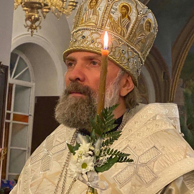 Епископ Питирим