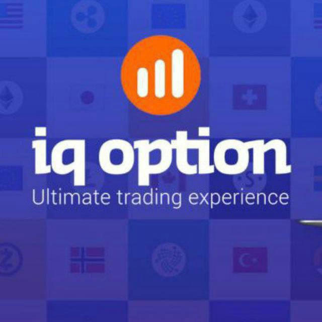 OctaFx Copy Trading ™️