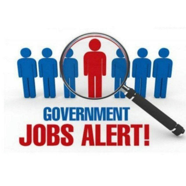 Government / Sarkari Jobs Freshers Live