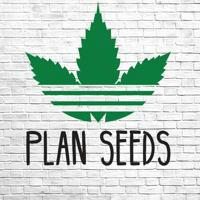 Plan Seeds