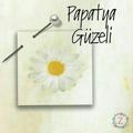 🌼PaPatya Güzeli 🌼