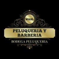 13. PELUQUERIA Y BARBERIA