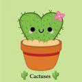 🌵Cactuses🌵