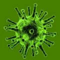 Corona Virus Informationen