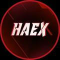 HAEX> STOCK 🎖️