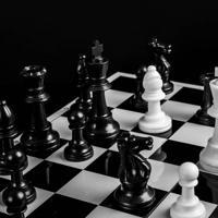 Kejohanan Catur | chessaurus.com