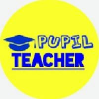 Pupil Teacher