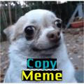 Copy Meme