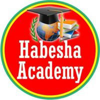 Habesha Academy