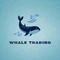 Whale Trading 🐳