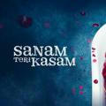 Sanam Teri Kasam Bollywood Movie