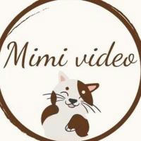 MIMI_VIDEO Животные