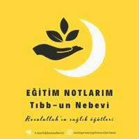 Eğitim Notlarım📒🖊