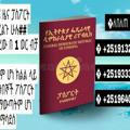 Passport ፓስፖርት ኢሚግሬሽን