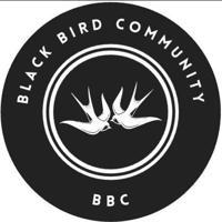 black bird movies