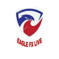 EAGLE FX LIVE