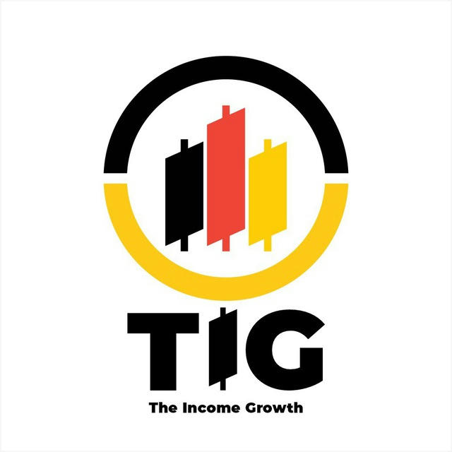 TIG OFFICIAL®