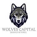 🐺 WOLVES CAPITAL 🐺